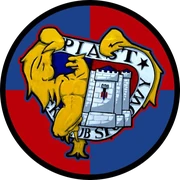 Piastoholicy